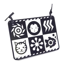 Wimmer-Ferguson Double-Feature Mirror By Manhattan Toy