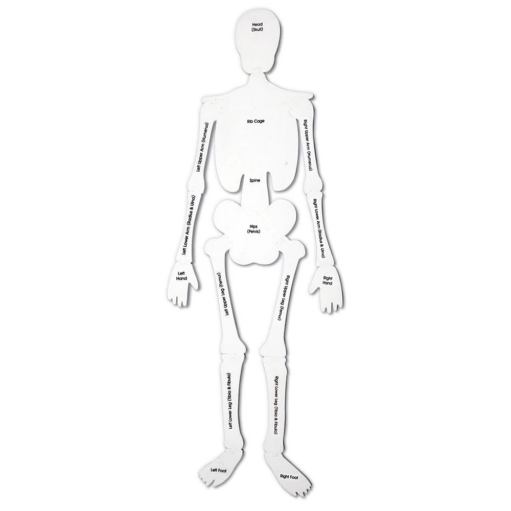 Skeleton Floor Puzzle By Learning Resources - Image 4